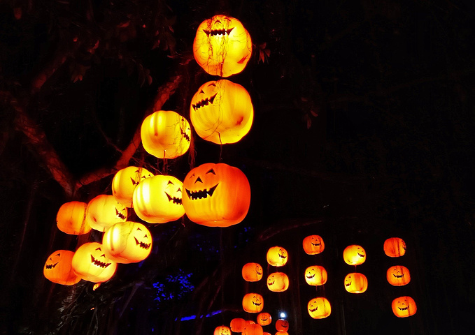 天津职校成立首家劳务派遣机构立体式服务助学生就业【xc sports】